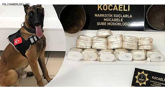 Kocaeli Polisinden Zehir Tacirlerine Narkotik Arama Köpeğ, Stark'lı darbe