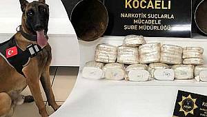Kocaeli Polisinden Zehir Tacirlerine Narkotik Arama Köpeğ, Stark'lı darbe
