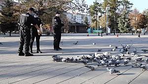 Ankara Çubuk'ta polis ekipleri sokak hayvanlarını unutmadı 