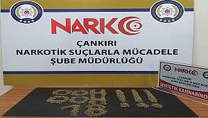 Çankırı Emniyet Müdürlüğü Narkotik Şube 2021/Ocak Faaliyetleri