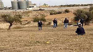 Nizip'te Zeytin ağacından düşen yaşlı adam hayatını kaybetti 