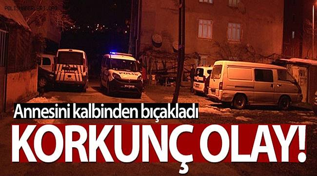 Pendik'te Dehşet Annesini Kalbinden Bıçakladı 