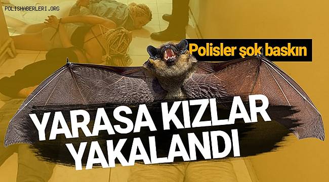 Ankara merkezli 3 ilde 300 Polisin katılımıyla 'yarasa kız' çetesine operasyon düzenlendi 115 gözaltı