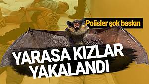 Ankara merkezli 3 ilde 300 Polisin katılımıyla 'yarasa kız' çetesine operasyon düzenlendi 115 gözaltı