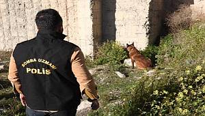 İçişleri Bakanlığı açıkladı Bombalı eylem hazırlığındaki terörist Şanlıurfa'da yakalandı