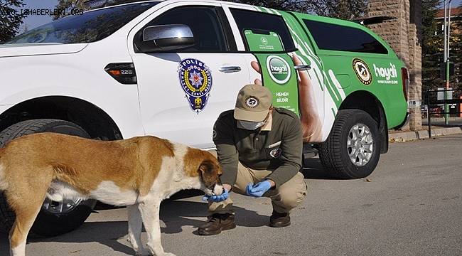Konya'da HAYDİ Polisleri Sokak Hayvanlarına Sahip Çıkıyor 