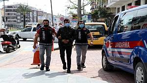 Alanya'da düzenlenen Operasyonda 3 kilo 800 gram ve 29 kök Hint keneviri ele geçirildi