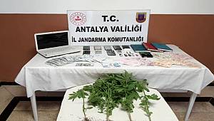 Alanya'da yasadışı bahis operasyonunda 6 kişi gözaltına alındı