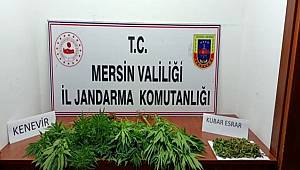 Mersin'de düzenlenen uyuşturucu operasyonunda 7 şüpheli gözaltına alındı