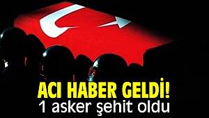 Pençe-Şimşek hareket bölgesinde yaralanan 1 askerimiz şehit oldu