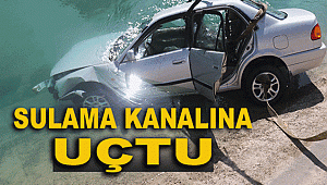 Sulama kanalına düşen otomobilin sürücüsü yaralandı