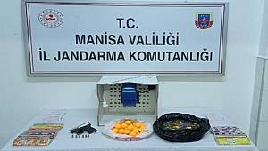 Turgutlu’da kısıtlamaya rağmen kumar oynayan 27 kişiye idari işlem