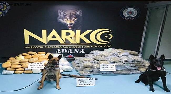 Adana'da Narkotik Köpeği MARCO Kamyondaki Uyuşturucuyu Buldu