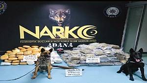 Adana'da Narkotik Köpeği MARCO Kamyondaki Uyuşturucuyu Buldu