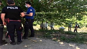 Aydın'da Devriye gezen Polis, ağaca asılı cansız beden buldu