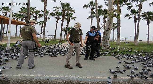 Mersin'de Polis Sokak Hayvanlarını Unutmadı