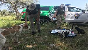 Mersin'de polisler tam kapanmada sokak hayvanlarını besledi 