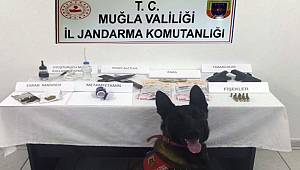 Bodrum’da uyuşturucu operasyonu