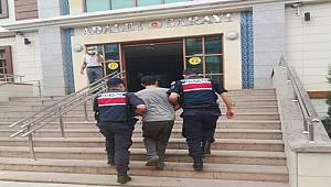 Giresun'da suç makinesi jandarma dedektifleri tarafından yakalandı