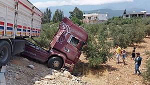 Hatay'da Tır zeytin bahçesine girdi