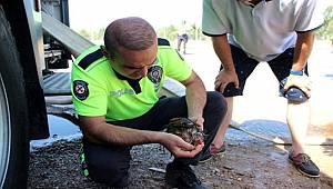 İzmir'de dumandan etkilenen hayvanlara polis ve vatandaştan ilkyardım