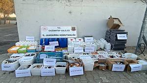 Gaziantep'te sahte içki operasyonunda yakalanan şüpheli tutuklandı