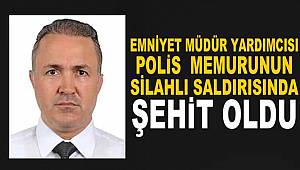 Hakkari İl Emniyet Müdür Yardımcısı Hasan Cevher'e silahlı saldırı