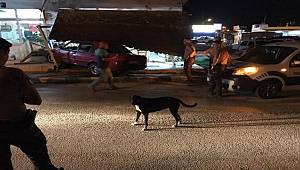 Adana'da otomobil kahvehaneye girdi