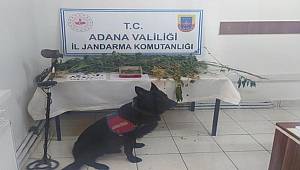 Adana'da uyuşturucu operasyonunda 3 şüpheli yakalandı