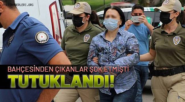 Ankara'da bahçesinde 11 köpeğin cansız bedeni bulunan kadın, tutuklandı 