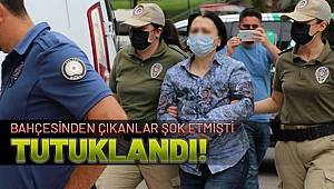 Ankara'da bahçesinde 11 köpeğin cansız bedeni bulunan kadın, tutuklandı 