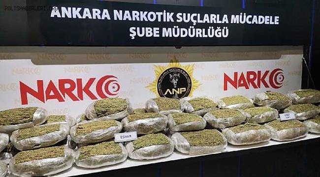 Ankara'da narkotik polisi, dedektör köpeği 'Fox' ile 61 kilo 950 gram esrar ele geçirdi