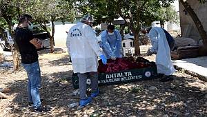 Antalya'nın Kumluca ilçesinde bir kişi evinde cansız bulundu