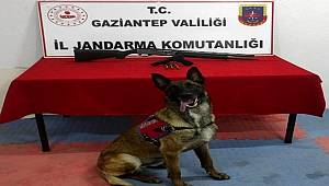 Ateş açtığı anları sosyal medyadan canlı yayınladı jandarmaya yakalandı