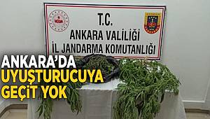 Başkentte jandarma ekiplerince düzenlenen uyuşturucu operasyonlarında 2 kişi yakalandı 