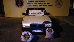 Gaziantep'te fıstık hırsızları suçüstü yakalandı