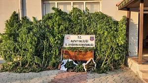 Hatay'da uyuşturucu operasyonlarında yakalanan 3 zanlıdan 2'si tutuklandı 