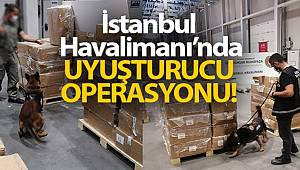 İstanbul Havalimanı'nda 4 tonu aşkın Uyuşturucu madde ele geçirdi