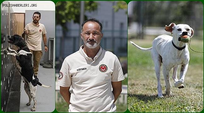  'Çatalburun'lar uyuşturucu ile mücadele için eğitiliyor