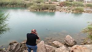 Mersin'in Tarsus ilçesindeki Berdan Nehri'nde erkek cesedi bulundu