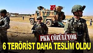 PKK'dan kaçan 6 örgüt mensubu teslim oldu