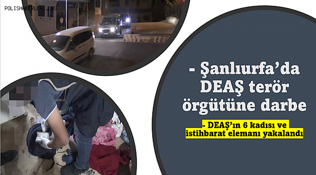 Şanlıurfa'da DEAŞ'ın 6 kadısı ve İstihbarat elemanı yakalandı
