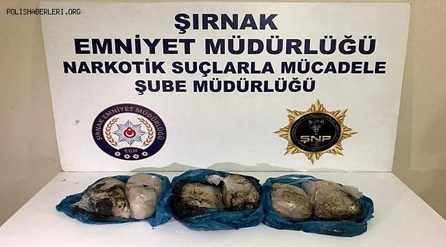 Şırnak'ta terörün finans kaynağına darbe 46 şüpheli gözaltına alındı