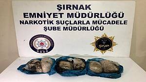 Şırnak'ta terörün finans kaynağına darbe 46 şüpheli gözaltına alındı