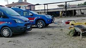 16 yaşındaki genç, sallanmak için ağaca astığı ipe dolanarak hayatını kaybetti