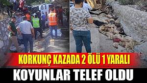 Burdur'da küçükbaş hayvan yüklü TIR devrildi 2 kişi hayatını kaybetti