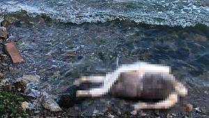 El ve ayakları bağlı işkence yapılmış cansız bedenle ilgili detaylar ortaya çıktı! 10 gün önce öldüğü anlaşıldı