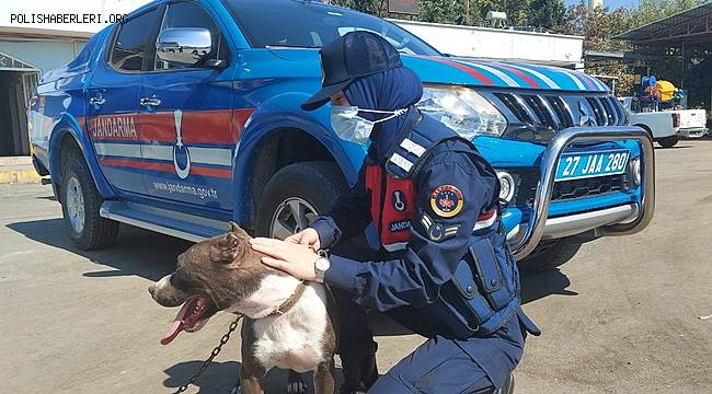 Gaziantep'te zincirle otomobil arkasına bağlanan köpeği jandarma ekipleri kurtardı