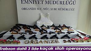 İstanbul merkezli 3 ilde silah kaçakçılığına yönelik operasyonda 23 kişi gözaltına alındı
