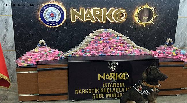 İstanbul merkezli 7 ilde uyuşturucu çetesine operasyon, uyuşturucu baronu yakalandı